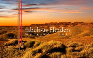 Walking Tours in Flinders Ranges