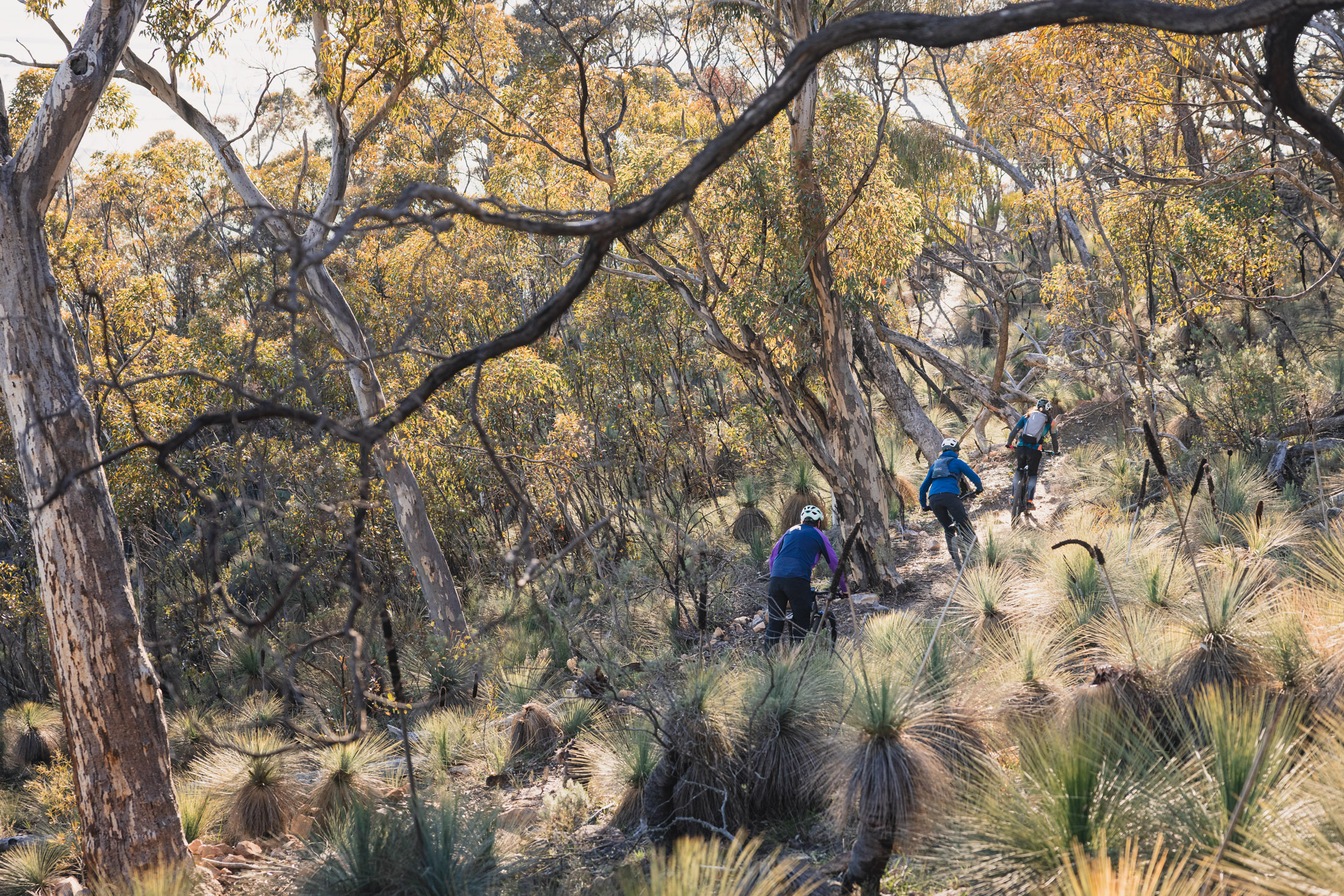 FlowMTB-MtRemarkableEpic-5069